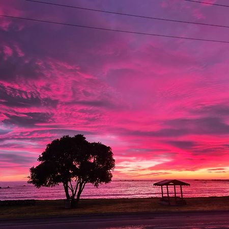 The Anchor Inn Beachfront Motel ไคคูรา ภายนอก รูปภาพ