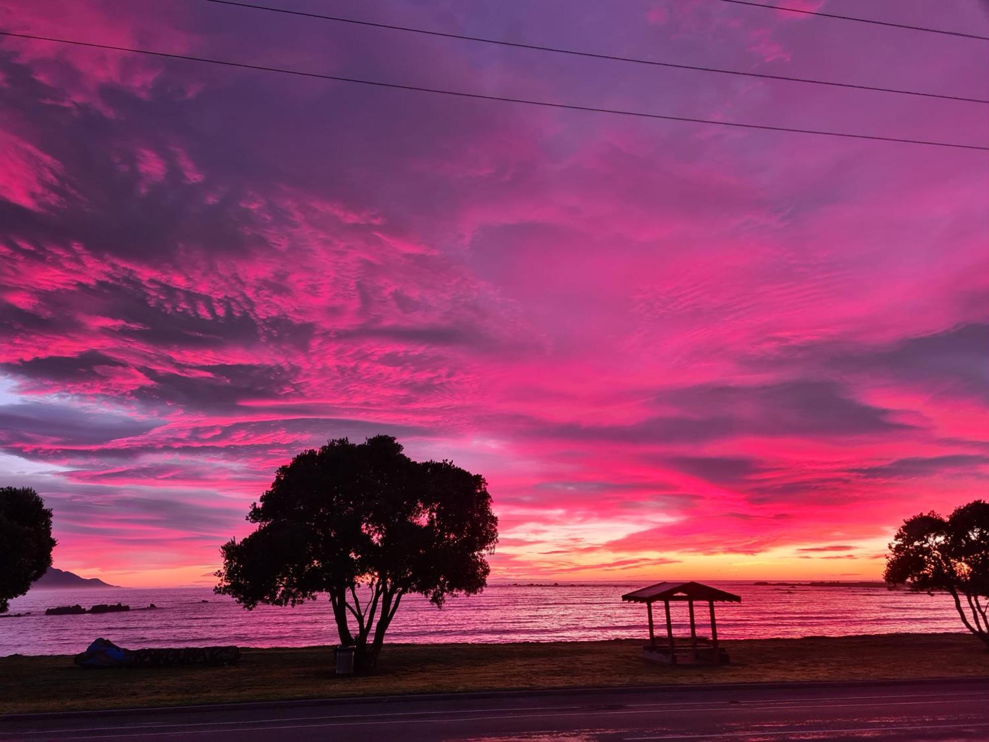 The Anchor Inn Beachfront Motel ไคคูรา ภายนอก รูปภาพ